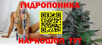 амф Можга