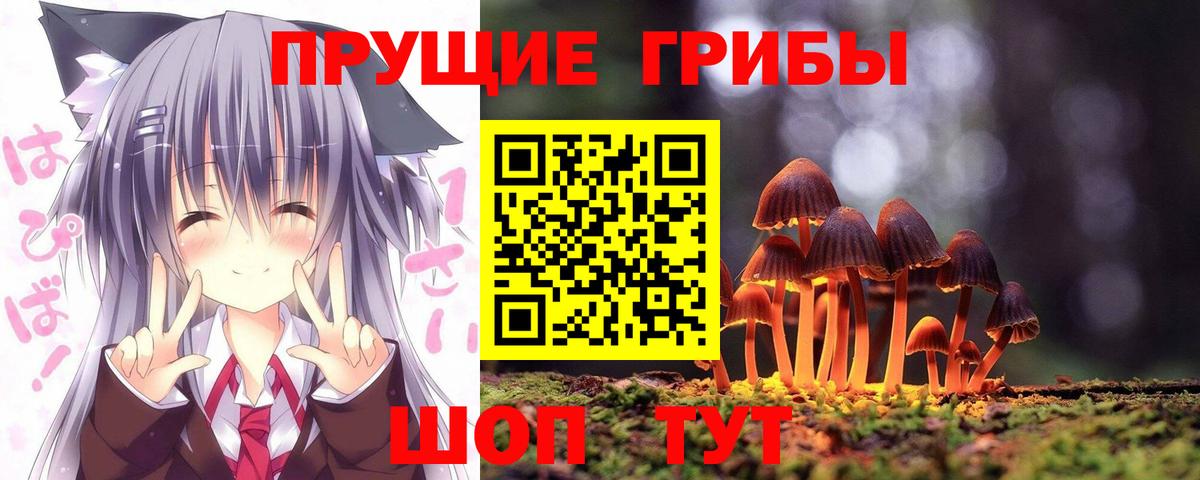 магазин продажи наркотиков  Вход с VPN  Усолье-Сибирское  Псилоцибиновые грибы MAGIC MUSHROOMS 